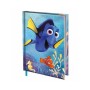 DIARI DORY