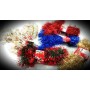 FILO 2 NASTRI ANIMA FERRO ROSSO