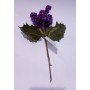 FIORI GAMBO CORTO VIOLA