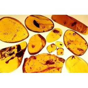 PIETRE FIUME AMBRA