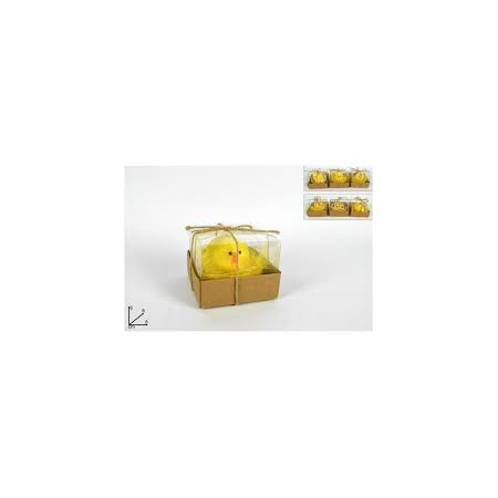 PULCINI CON NIDO IN BOX