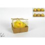 PULCINI CON NIDO IN BOX