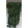 COLONN ERBA C/78 LUCI 31X31X75.