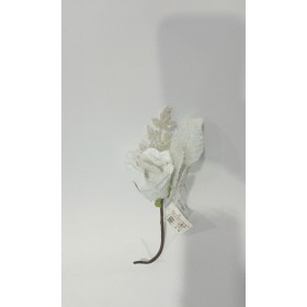 ROSA GAMBO CORTO