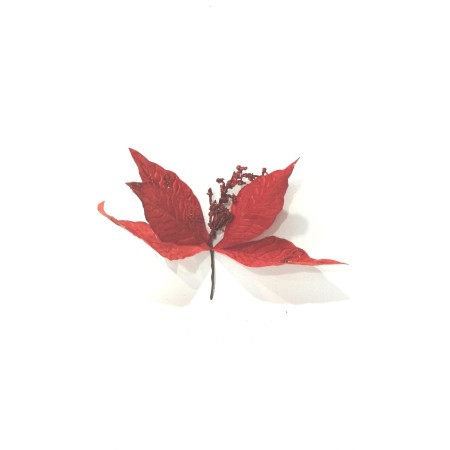 FIORE GAMBO CORTO