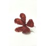 FIORE GAMBO CORTO 4 ASS..