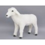 AGNELLO BIANCO CM.75X32X60H