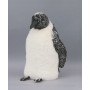 PINGUINO CM.36X33X49 LANA BI