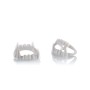 DENTI DRACULA NIAGARA 100PZ