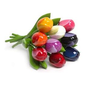 CARAMELLA TULIPANI