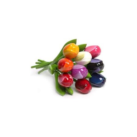 CARAMELLA TULIPANI