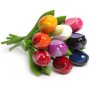 CARAMELLA TULIPANI