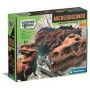 GIGANT SKULL T.REX