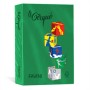 CARTONCINO A4 160 GR. FAVINI VERDE B. 208