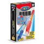 BIRO CARIOCA CANCELLABILI NERE PZ. 12