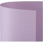 CARTONCINI 50X70 LISCIO/RUVIDO LILLA ARTGRAF