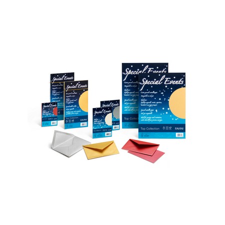 BUSTE SPECIAL EVENTS 110 X 120 PZ. 10 COL. CREMA 06 FAVINI