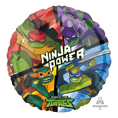 STANDARD RISE OF THE TMNT S60 Q