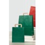 BUSTE SEALING 45+15X49  VERDE CHIARO