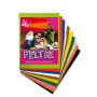 FELTRO COLORI ASS. 21X30 10FG