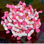 CARAMELLE PANNA FRAGOLA LIKING 1 KG