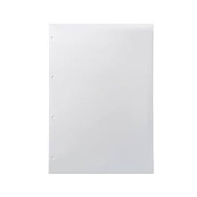 RICAMBI 21X31 BIANCHI BM/PIGNA