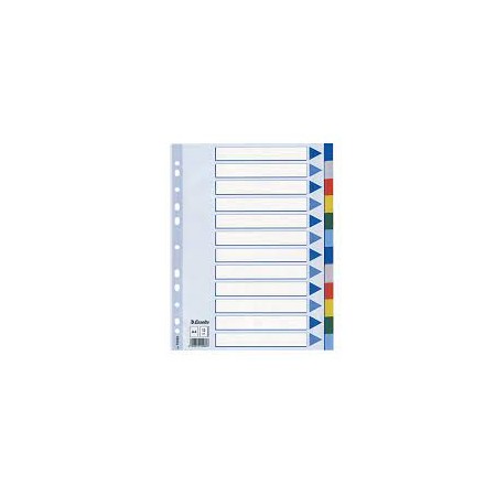 SEPARATORI IN PPL A4 12 TASCHE COLORATI
