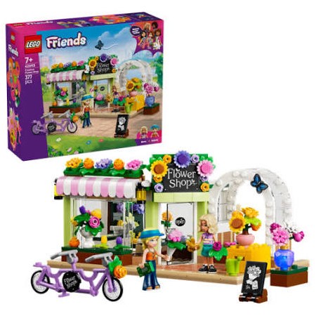 42693 NEGOZIO DI FIORI CREATIVO