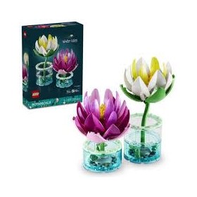 11511 NINFEE