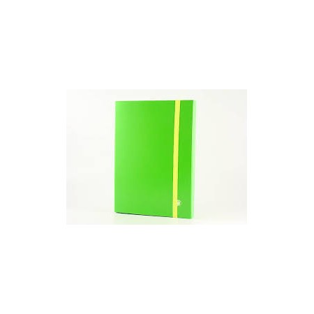 CARPETTE C/ELASTICO D. 6 ARCA VERDE MELA