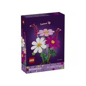 11514 FIORI DI COSMOS
