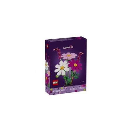 11514 FIORI DI COSMOS