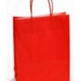BUSTE TWISTED ROSSE 55+15X49