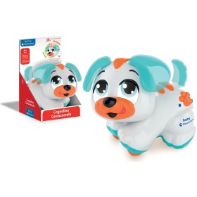 CERCACOCCOLE CAGNOLINO