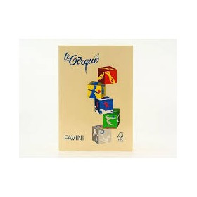 CARTONCINO A4 160 GR. FAVINI CAMOSCIO 105