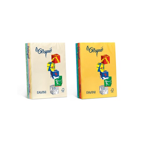 CARTONCINI A4 160GR 5 COL. ASS. FORTI FAVINI