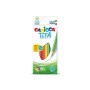 PASTELLI LEGNO X12 CARIOCA