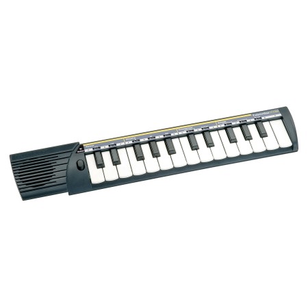 00000 CONCERTINO 25 TASTI