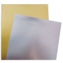 CARTONCINO 50X70 ARGENTO FAVINI