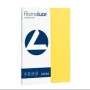 RISMALUCE 90GR FG.100 COLORI FORTI