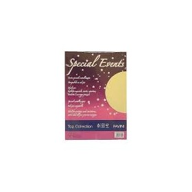 CARTA SPECIAL EVENTS 250G CREAM