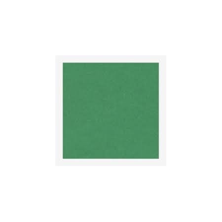 CARTONCINO 70X100 LISCIO/RUVIDO ARTGRAF VERDE