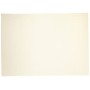CARTONCINO 70X100 LISCIO/RUVIDO ARTGRAF AVORIO