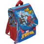 ZAINI EST. SPIDERMAN