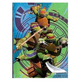 DIARI TURTLES
