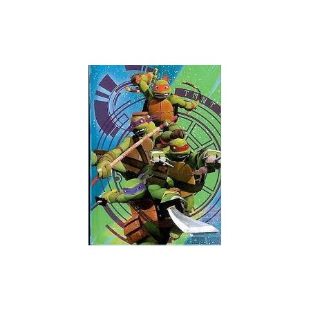 DIARI TURTLES