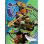 DIARI TURTLES