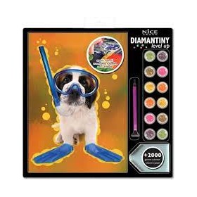 DIAMANTINY NICE