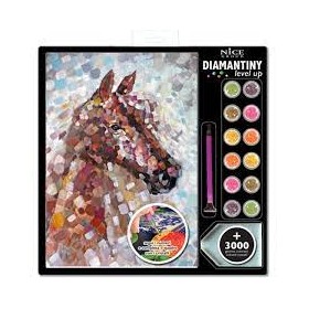 DIAMANTINY NICE