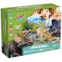 LABORATORIO DI PALEONTOLOGIA IL TRICERATOPO